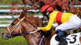 前走は4馬身差V コパノパサディナは昇級初戦も好勝負期待