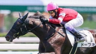 武豊騎手 今週の騎乗馬…函館記念はドーブネで参戦