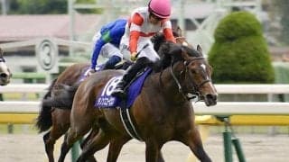 【中京記念想定馬・騎手】ダノンスコーピオン、メイショウシンタケなど18頭