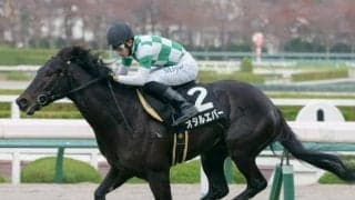 前走最下位から激変Vだ 福島メインは実績断然オタルエバーで勝負