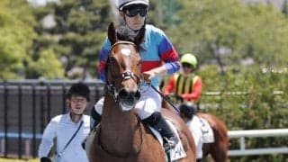 【今日の注目ポイント】世代最初のJRA重賞・函館2歳S