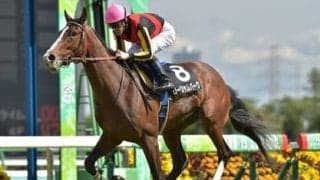 函館記念は今年も波乱があるか 注目はコース相性がいいハービンジャー、ジャスタウェイ産駒