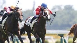 【土曜函館12R予想】前走は直線で不利あり カップッチョが好配提供だ