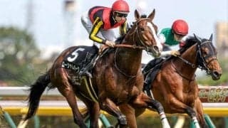 【函館記念予想】「格よりデキ」は通用せず!? 波乱重賞に見られる特殊な傾向