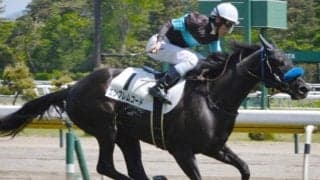 前走でスプリント適性は証明済み エンブレムコードが2年ぶりV目指す