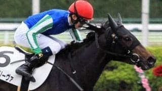 再転入初戦から激走期待 シグルドリーヴァが中央初勝利狙う