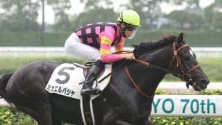 【新馬/中京5R】ミカエルパシャがデビューV…2億円ホース、ラケダイモーンは2着