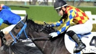 【日曜中京2R】坂路で好時計連発 アイファーシアトルの激走だ