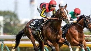 【函館記念前日オッズ】ローシャムパークが5.0倍で1番人気