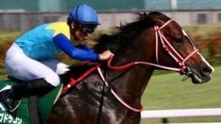 馬場傾向から日曜に狙いたい3頭 函館記念は8枠先行馬の粘り込みに注意