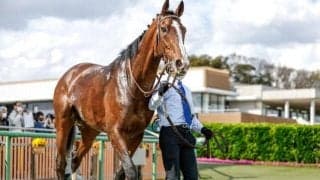 【AI予想・函館記念】週初から一転した本命馬！「◎」はGI好走馬と遜色ない能力の持ち主