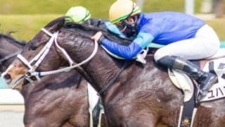 【日曜中京3R予想】前走は全くの参考外 再びの1400mで巻き返す