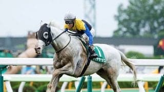 【今日の注目ポイント】開催ラストを飾る函館記念、中京の名物レース名鉄杯