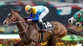 【函館記念予想】開催を締めくくるハンデ重賞 今年は逃げ・先行馬が揃って展開読みが攻略のカギに