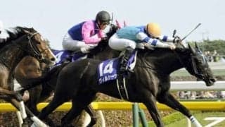 姉ヴィルシーナはヴィクトリアマイル連覇達成　注目の血統馬エヴァンスウィート