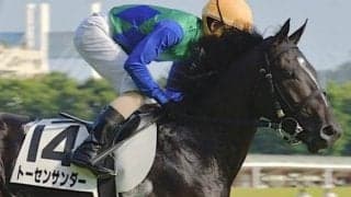 【湯の川温泉特別予想】前走は負けて強し 最終週の馬場なら差し届く