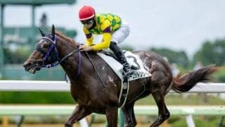 【函館5R新馬戦結果】5番人気のマーゴットソラーレが逃げ切りV