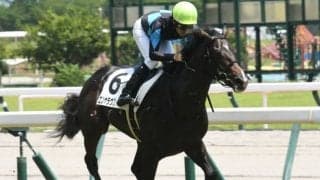 【中京5R新馬戦結果】1番人気のエンヤラヴフェイスが5馬身差の圧勝！