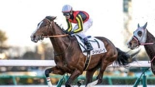 【函館記念・馬体重】ローシャムパークは500kg(-6)、ブローザホーンは428kg(+8)