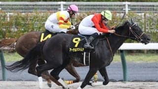 【名鉄杯結果】アーテルアストレアが差し切ってオープン初勝利