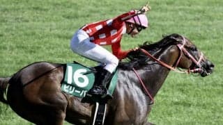 ビリーバーが競走馬登録抹消