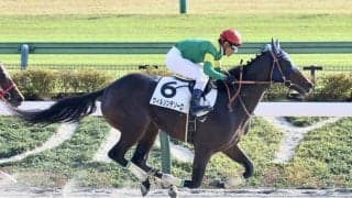 【マーキュリーC】ウィルソンテソーロは6枠9番