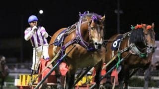 【ばんえい十勝・旭川記念】メムロボブサップが連覇…阿部「ホッとしています」