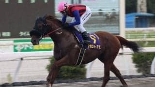 【高知・トレノ賞】アポロティアモが断然の支持に応える…吉原「暑い中一生懸命走ってくれた」