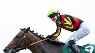 【函館記念】売上は88億8750万500円で昨年より約6億円増加