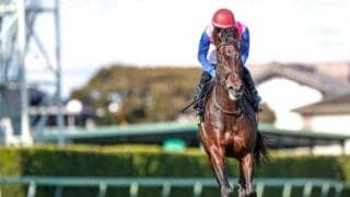 【先週のJRA抹消馬】21年の七夕賞覇者トーラスジェミニ、ダート中距離で活躍したウェルドーンなど