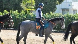 「切れる脚を使える」と武井師 ハーツコンチェルトの半弟ソウルアンドジャズ/関東馬メイクデビュー情報