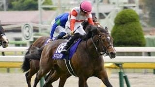 【中京記念想定騎手】ダノンスコーピオンは横山和生騎手、ルージュスティリアは川田将雅騎手