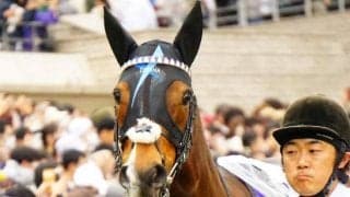 前走GIで0秒2差に健闘！ ヴィルシーナの仔が中京記念で重賞初制覇へ