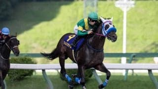 【盛岡・マーキュリーカップ】川田将雅騎乗、ウィルソンテソーロが交流重賞を連勝