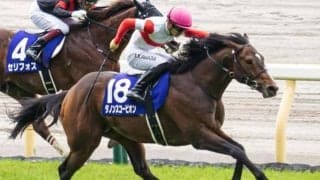 【中京記念】NHKマイルC覇者のダノンスコーピオン 9年ぶり4頭目のGI馬の戴冠なるか