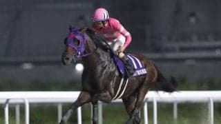 【名古屋・名港盃結果】ナムラマホーホが捲って圧勝！重賞6勝目を挙げる