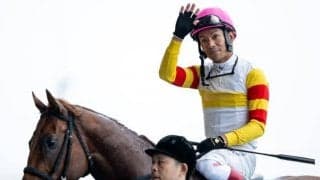 芝・ダート双方での活躍馬多数 “父ヘニーヒューズ”の奥深さ