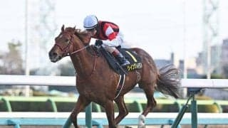 【中京記念展望】サマーマイルシリーズ第二弾、距離短縮組は苦戦傾向