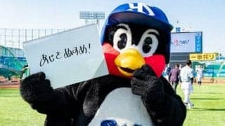 つば九郎の人生相談「行きつけの町中華が閉店してしまい、今後どこで羽を休めたらいいか不安」