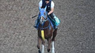 ライスネイチャなど、先週のゲート試験/栗東トレセンニュース