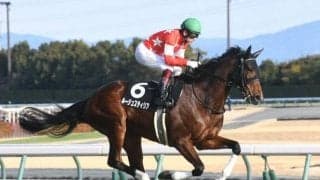 【中京記念予想オッズ】ルージュスティリアが予想1番人気