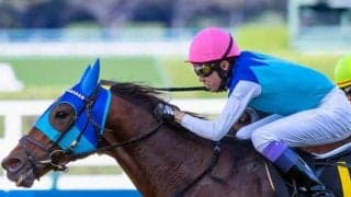 史上最高額の重賞ウイナー誕生なるか 5億8000万円のアドマイヤビルゴが中京記念に参戦