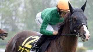 ミッキーアイル牡駒のJRA重賞初制覇なるか アナゴサンが中京記念に参戦