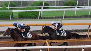 ミスニューヨーク、クイーンS1週前追い切り速報/栗東トレセンニュース