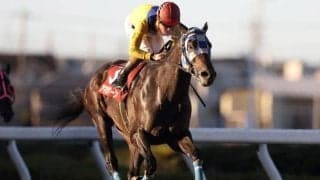 浦和16勝のアマネラクーン vs 10歳の古豪ベストマッチョ/浦和・プラチナC