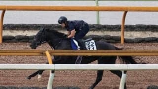 ララクリスティーヌ、関屋記念3週前追い切り速報/栗東トレセンニュース