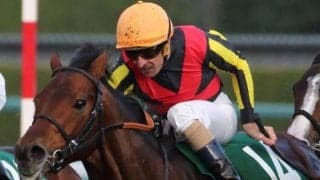 ワールドエースが種牡馬引退 道営最強馬シルトプレなどを輩出