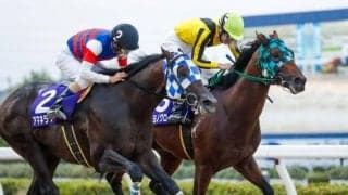 【浦和・プラチナC結果】サヨノグローリーが押し切って重賞初勝利