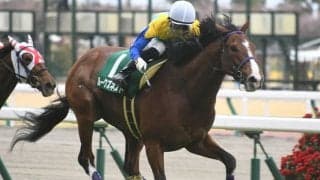 21年のファルコンS覇者ルークズネストが抹消 今後は浦和競馬に移籍