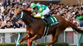 19年覇者ライオンボス、韋駄天S3着トキメキなど アイビスSD出走想定馬14頭